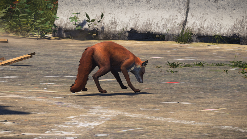 Illustration for article titled My Journey To Photograph All The Wildlife In The Division 2